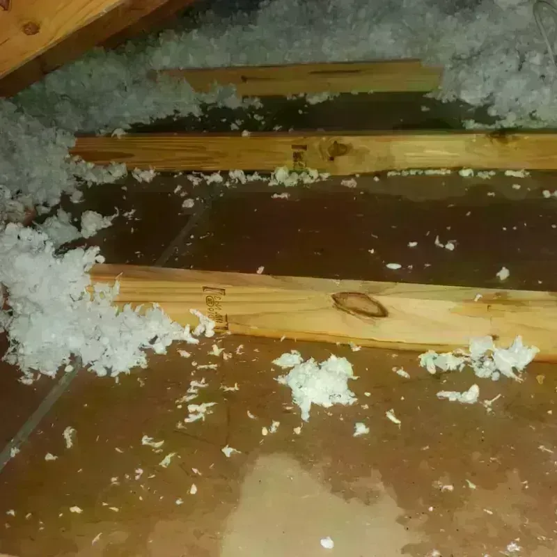 Attic Water Damage in League City, TX